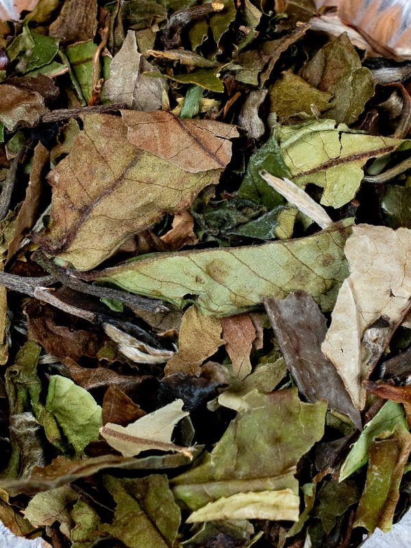 Pai Mu Tan Bio – Thé blanc Doux & onctueux